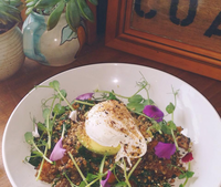 The Shak Organic Cafe  Wine Bar