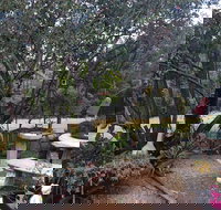 Leonies Little Tree Cafe - Pet Food Australia