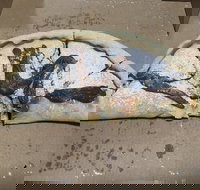 Little Neros Pizza  Pasta - Food Delivery Shop