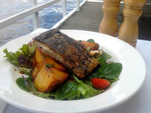 Salty Dog Bistro - Pet Food Australia 0