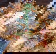 The Shack - Pet Food Australia