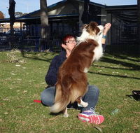 Wangi Waters - Pet Food Australia