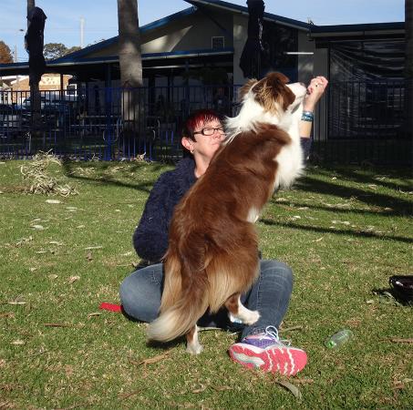 Wangi Waters - Pet Food Australia 0