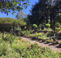 Yatte Yattah Nursery  Cafe - Pet Food Australia