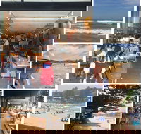 Bookoccino - Pet Food Australia