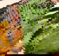 Lone Pine Tavern - Food Delivery Shop