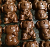 Perfection Chocolates  Sweets - Pet Food Australia