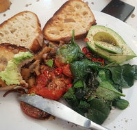 Gold Fish Bowl - Pet Food Australia