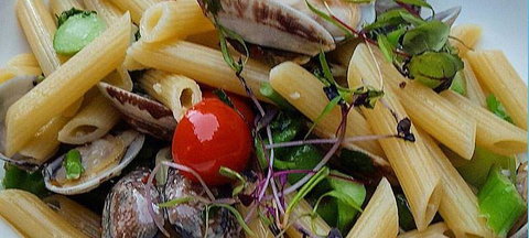 Jannat Authentic Indian Restaurant - Food Delivery Shop 13