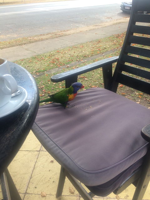Julie's At The Rectory - Food Delivery Shop 4