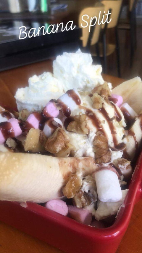 Nite & Day - Pet Food Australia 7