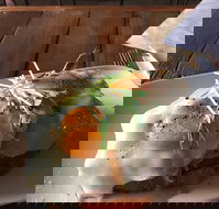 21Red Espresso - Pet Food Australia