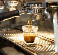 Black Bear Cafe - Food Delivery Shop