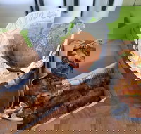 Hello Harry - Pet Food Australia