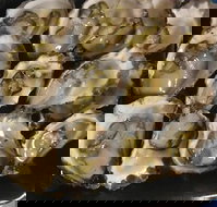 Armstrongs Oysters - Pet Food Australia