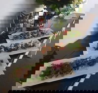 Blue Gum Cafe and Restaurant - Pet Food Australia