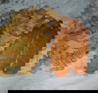 Chipp Inn - Pet Food Australia