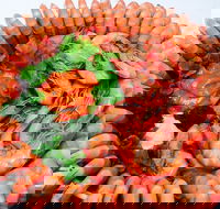 Evans Head Fishermens Co-Op - Pet Food Australia