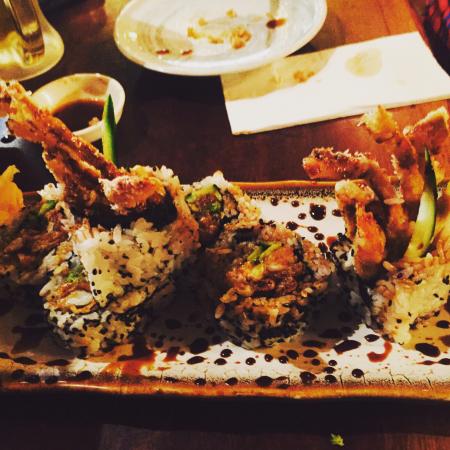 Wilsons Creek NSW Pet Food Australia