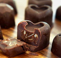 Puremelt Chocolate Lounge - Pet Food Australia