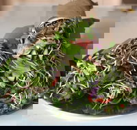 Santos Organics Mullumbimby - Pet Food Australia