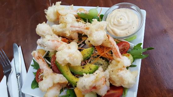 The Gulf NSW Pet Food Australia