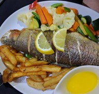 Terracotta - Pet Food Australia