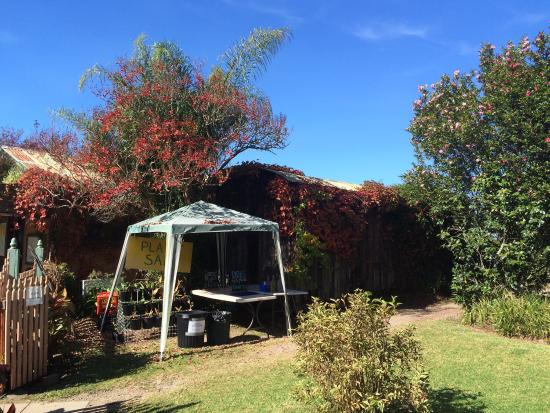 Bilpin NSW Food Delivery Shop