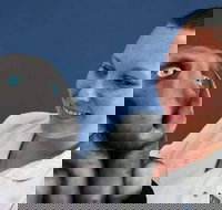 Cakes By Kyla - Pet Food Australia