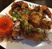 Rice Tapas - Pet Food Australia