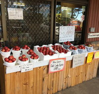 The Pines Orchard - Food Delivery Shop