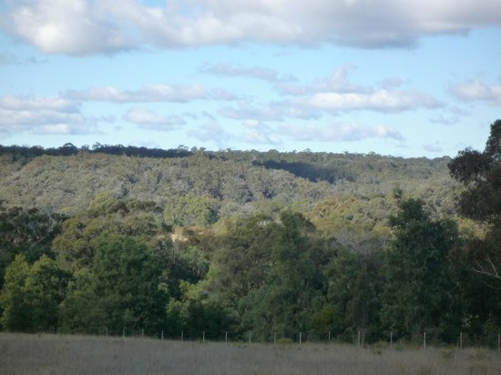 Canyonleigh NSW Pet Food Australia