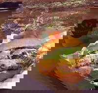 Village Bakehouse Orange - Pet Food Australia