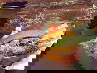 Village Bakehouse Orange