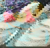 Beck's Bakery - Pet Food Australia