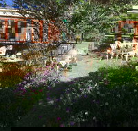 Hill End Estate - Pet Food Australia