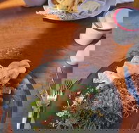 Painted Horse Cafe - Pet Food Australia