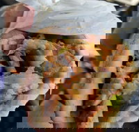 Alektor Charcoal  Grill - Pet Food Australia