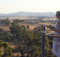 DogRock Winery - Food Delivery Shop