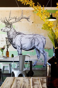 Elk Espresso