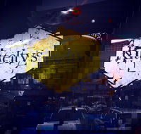 Kittelty's at the Gallery - Pet Food Australia