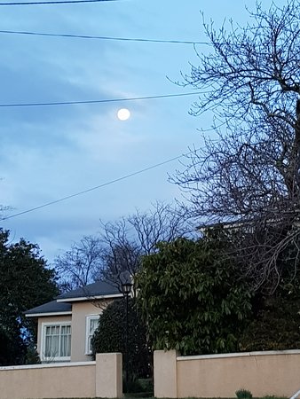 Tooraweenah NSW Pet Food Australia