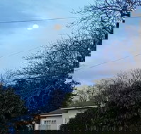 Mountain View Hotel - Pet Food Australia