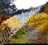 Prickly Moses Brewery - Pet Food Australia