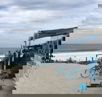 Beach Barista - Pet Food Australia