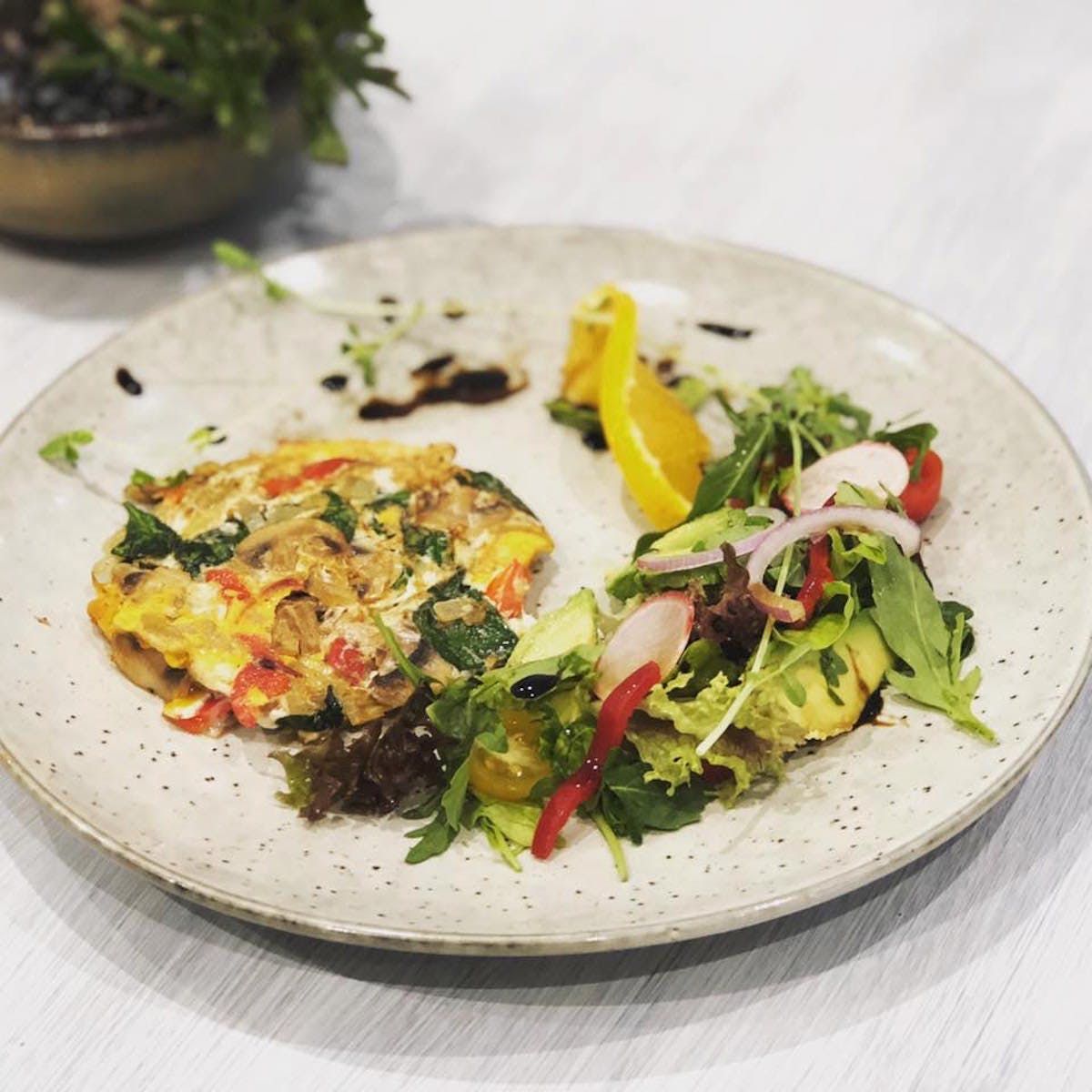 Homebush NSW Pet Food Australia