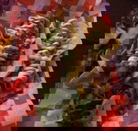 Cantina On Capri - Food Delivery Shop