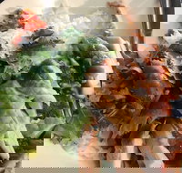 Courtyard Cafe - Pet Food Australia