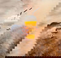 Little Caesars - Darlinghurst - Darlinghurst - Pet Food Australia