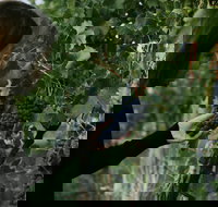 Rowlee Vine To Table Experience - Pet Food Australia